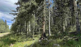 Lot 23 Elk Ridge Road, Angel Fire, NM 97710