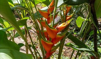 265 HAHANA Rd, Haiku, HI 96708