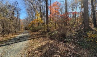 99- E Richmond Hwy, Amherst, VA 24521