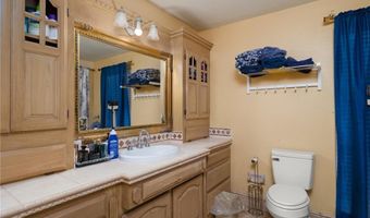 4523 S Tower Rd, Alamo, TX 78516