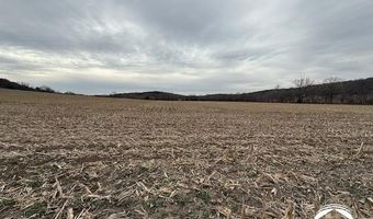 10 60 Acres M/L N 800 Rd, Baldwin City, KS 66006