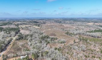 919 County Road 6628, Banks, AL 36005