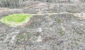919 County Road 6628, Banks, AL 36005