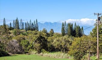 2226 Lilikoi Rd, Haiku, HI 96708