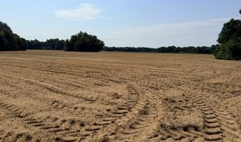 49 Cosby Rd, Ashford, AL 36312