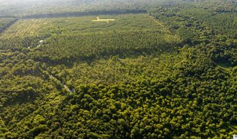 CARPENTER ROAD, Bastrop, LA 71220