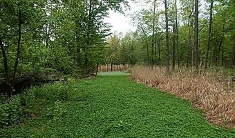 15250 27 Mile Rd, Albion, MI 49224