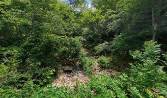 County Road 200, Alton, MO 65606