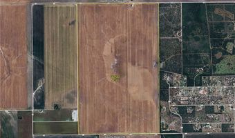 Fm-2044, Alice, TX 78332