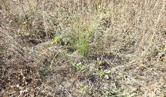 1228 River Rd, Ariton, AL 36311