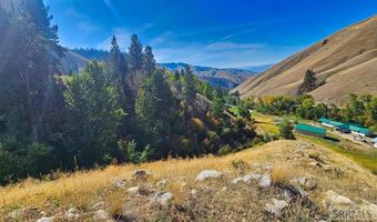 53 Runnin Bear Rd, Carmen, ID 83462