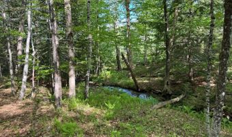 Peaked Hill Road, Bristol, NH 03222