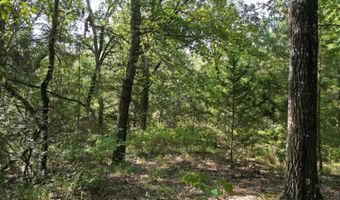 7 N Hall Rd, Antlers, OK 74523