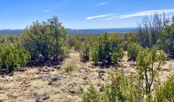 74 County Road 8056, Concho, AZ 85924