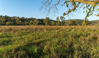 4495 County Road 405, Alton, MO 65606