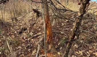 TBD CR 3605, Ada, OK 74820