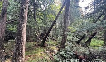 TBD Cable Lake, Amasa, MI 49903