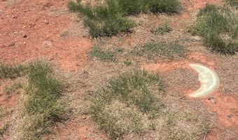 Hc 65 35100 HWY 180A, Concho, AZ 85924