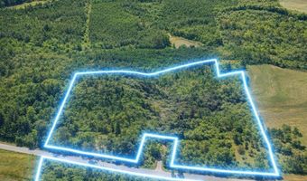 40 8 Acres Johnson Bridge Rd, Ariton, AL 36311