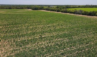 81 3+/- Acres SW Boyer Rd, Augusta, KS 67010