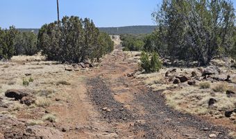 Tbd N8060, Concho, AZ 85924
