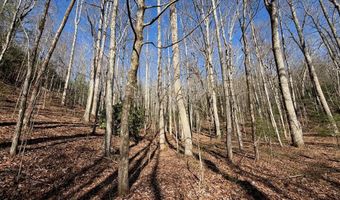 135 49ac Webb Creek Rd, Andrews, NC 28901