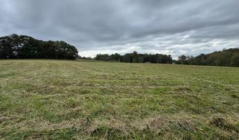 X Miller Gap Road 44 Ac, Ararat, NC 27007