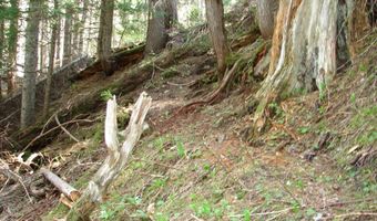Nna S Smith Creek Rd, Bonners Ferry, ID 83805