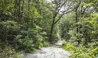 0 LANIER Pl 26.25 ac, Anniston, AL 36207