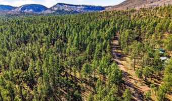 20 Co Rd 2067, Alpine, AZ 85920