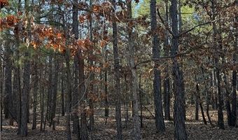 Tract 4 Rural Atoka, Atoka, OK 74525
