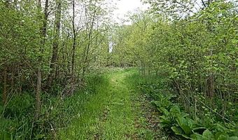 15252 27 Mile Rd, Albion, MI 49224