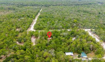 550 NW 73rd Way, Bell, FL 32619