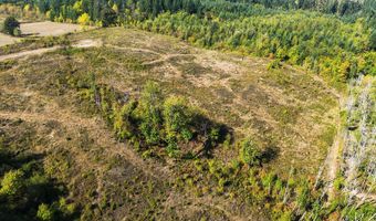 31807 NE 122ND Ave, Battle Ground, WA 98604