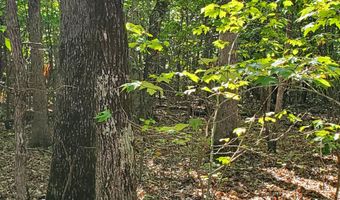 County Road 118, Annapolis, MO 63620