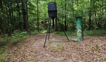 399 Wakefield Ln, Brookhaven, MS 39601