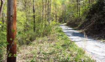 Bannick Springs Road, Whittier, NC 28789