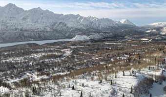45161 Glenn Hwy, Chickaloon, AK 99674