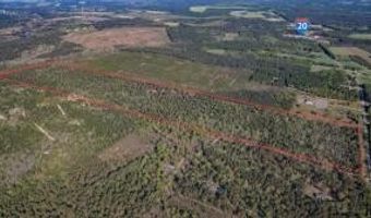 198 Migrant Camp Rd, Batesburg Leesville, SC 29006