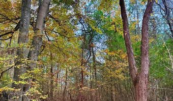 HWY 9, Bruce, MS 38915