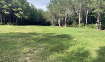 C 00 Hwy 220 W, Lincolnton, GA 30817