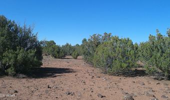 24 County Road 8063, Concho, AZ 85924