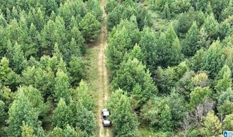 6150 SHOAL CREEK Rd 124+/- Acres, Ashville, AL 35953