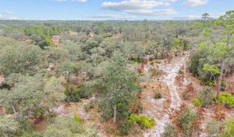 NE 131 Place, Archer, FL 32618