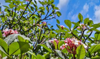 94 Mehani Pl, Kihei, HI 96753
