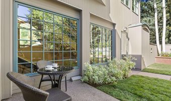 530 W Francis St, Aspen, CO 81611