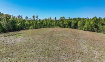 489 FOURWING LAKE Rd Lot 0, Alabaster, AL 35007