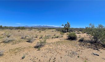 5558 E Red Barrel Rd, Yucca, AZ 86438