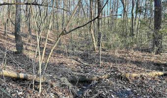 0009 SPRINGHOLLOW Rd Lot 9, Ashville, AL 35953