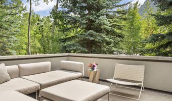 307 N Sixth St, Aspen, CO 81611